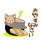 【犬屋】うちの子1番(チワワ)①（個別スタンプ：8）