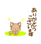 【犬屋】うちの子1番(チワワ)①（個別スタンプ：10）