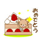 【犬屋】うちの子1番(チワワ)①（個別スタンプ：13）