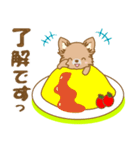 【犬屋】うちの子1番(チワワ)①（個別スタンプ：17）