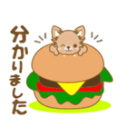 【犬屋】うちの子1番(チワワ)①（個別スタンプ：19）