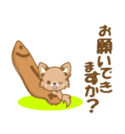 【犬屋】うちの子1番(チワワ)①（個別スタンプ：23）