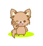 【犬屋】うちの子1番(チワワ)①（個別スタンプ：27）