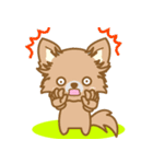 【犬屋】うちの子1番(チワワ)①（個別スタンプ：29）