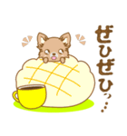【犬屋】うちの子1番(チワワ)①（個別スタンプ：35）
