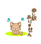 【犬屋】うちの子1番(チワワ)①（個別スタンプ：39）
