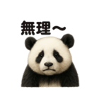 優しいパンダの日常で使えるLINEスタンプ（個別スタンプ：2）