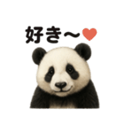 優しいパンダの日常で使えるLINEスタンプ（個別スタンプ：3）