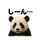 優しいパンダの日常で使えるLINEスタンプ（個別スタンプ：7）