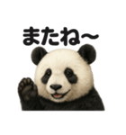 優しいパンダの日常で使えるLINEスタンプ（個別スタンプ：10）