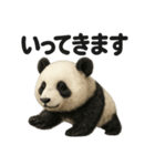 優しいパンダの日常で使えるLINEスタンプ（個別スタンプ：11）