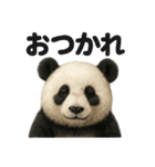 優しいパンダの日常で使えるLINEスタンプ（個別スタンプ：12）