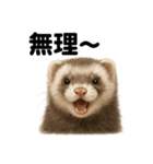優しいフェレットの日常LINEスタンプ（個別スタンプ：2）