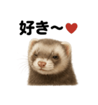 優しいフェレットの日常LINEスタンプ（個別スタンプ：3）