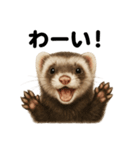優しいフェレットの日常LINEスタンプ（個別スタンプ：5）