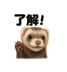 優しいフェレットの日常LINEスタンプ（個別スタンプ：9）
