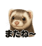 優しいフェレットの日常LINEスタンプ（個別スタンプ：10）