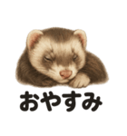 優しいフェレットの日常LINEスタンプ（個別スタンプ：13）