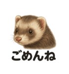 優しいフェレットの日常LINEスタンプ（個別スタンプ：14）