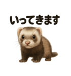 優しいフェレットの日常LINEスタンプ（個別スタンプ：15）