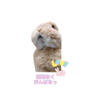 みるくことばだよ（個別スタンプ：3）