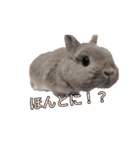みるくことばだよ（個別スタンプ：5）