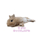 みるくことばだよ（個別スタンプ：7）