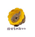 みるくことばだよ（個別スタンプ：10）
