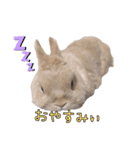 みるくことばだよ（個別スタンプ：13）
