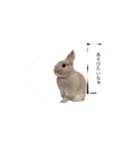 みるくことばだよ（個別スタンプ：15）