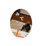 チロルとデイル2（個別スタンプ：7）