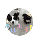 チロルとデイル2（個別スタンプ：32）