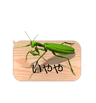 スマホの上のカマキリ6《関西弁》（個別スタンプ：4）