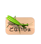 スマホの上のカマキリ6《関西弁》（個別スタンプ：10）