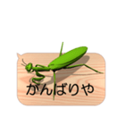 スマホの上のカマキリ6《関西弁》（個別スタンプ：13）