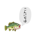 話すブラックバススタンプ（個別スタンプ：2）