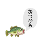 話すブラックバススタンプ（個別スタンプ：13）