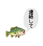 話すブラックバススタンプ（個別スタンプ：14）