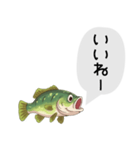 話すブラックバススタンプ（個別スタンプ：15）