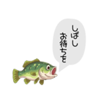 話すブラックバススタンプ（個別スタンプ：17）