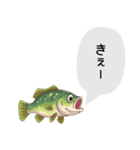 話すブラックバススタンプ（個別スタンプ：22）
