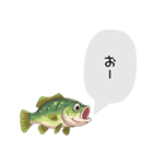 話すブラックバススタンプ（個別スタンプ：29）