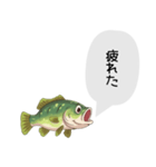 話すブラックバススタンプ（個別スタンプ：32）