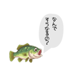 話すブラックバススタンプ（個別スタンプ：33）