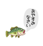 話すブラックバススタンプ（個別スタンプ：34）