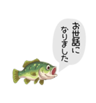 話すブラックバススタンプ（個別スタンプ：35）