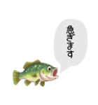 話すブラックバススタンプ（個別スタンプ：37）