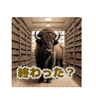 使いやすいアメリカバイソン（個別スタンプ：40）