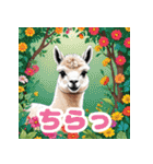毎日使えるアルパカがかわいい_日本語（個別スタンプ：1）