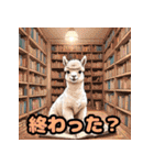 毎日使えるアルパカがかわいい_日本語（個別スタンプ：40）